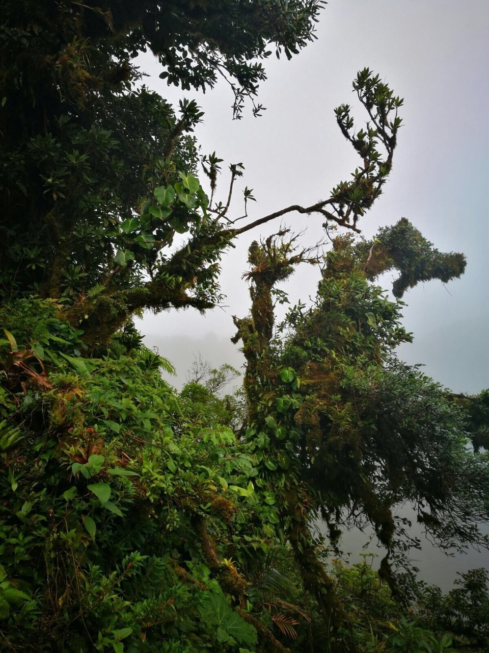 Costa Rica -  - 