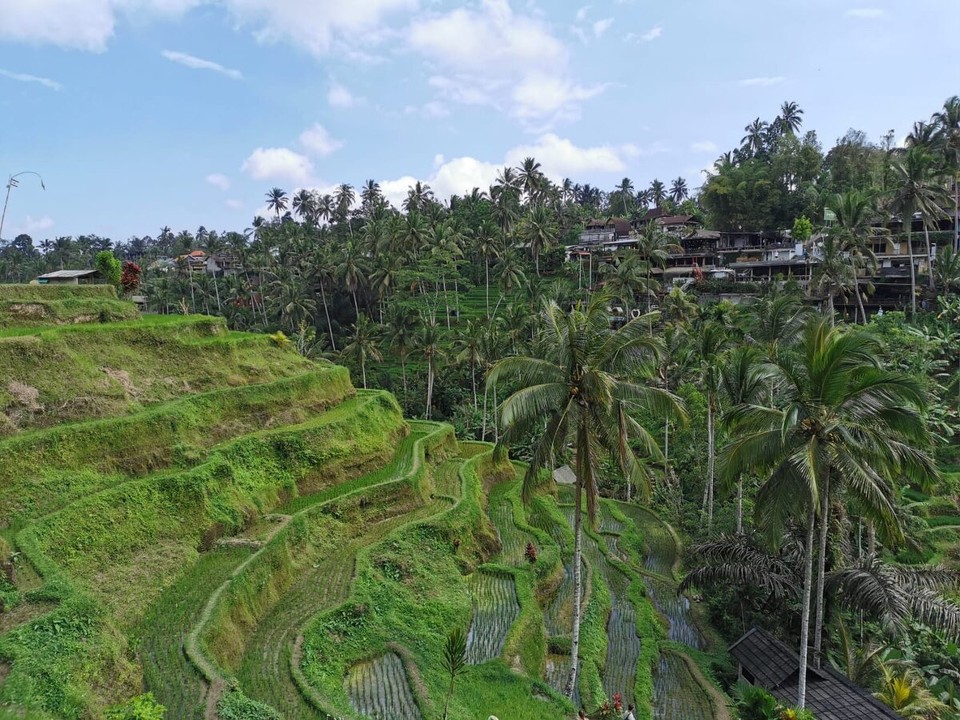 Indonesien - Gianyar - 