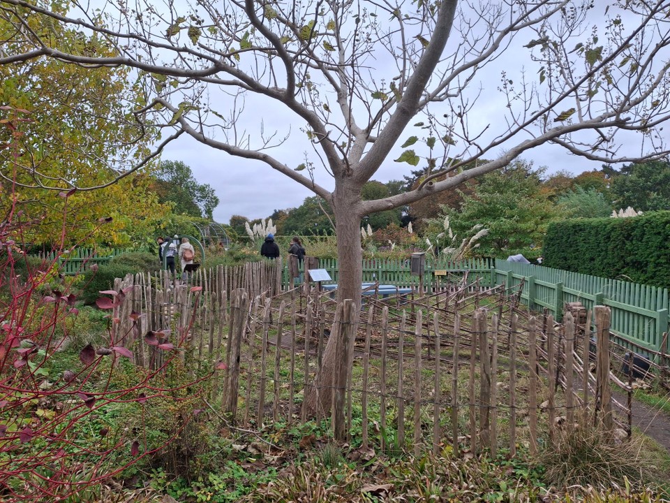 Schweden - Slottsträdgården - 