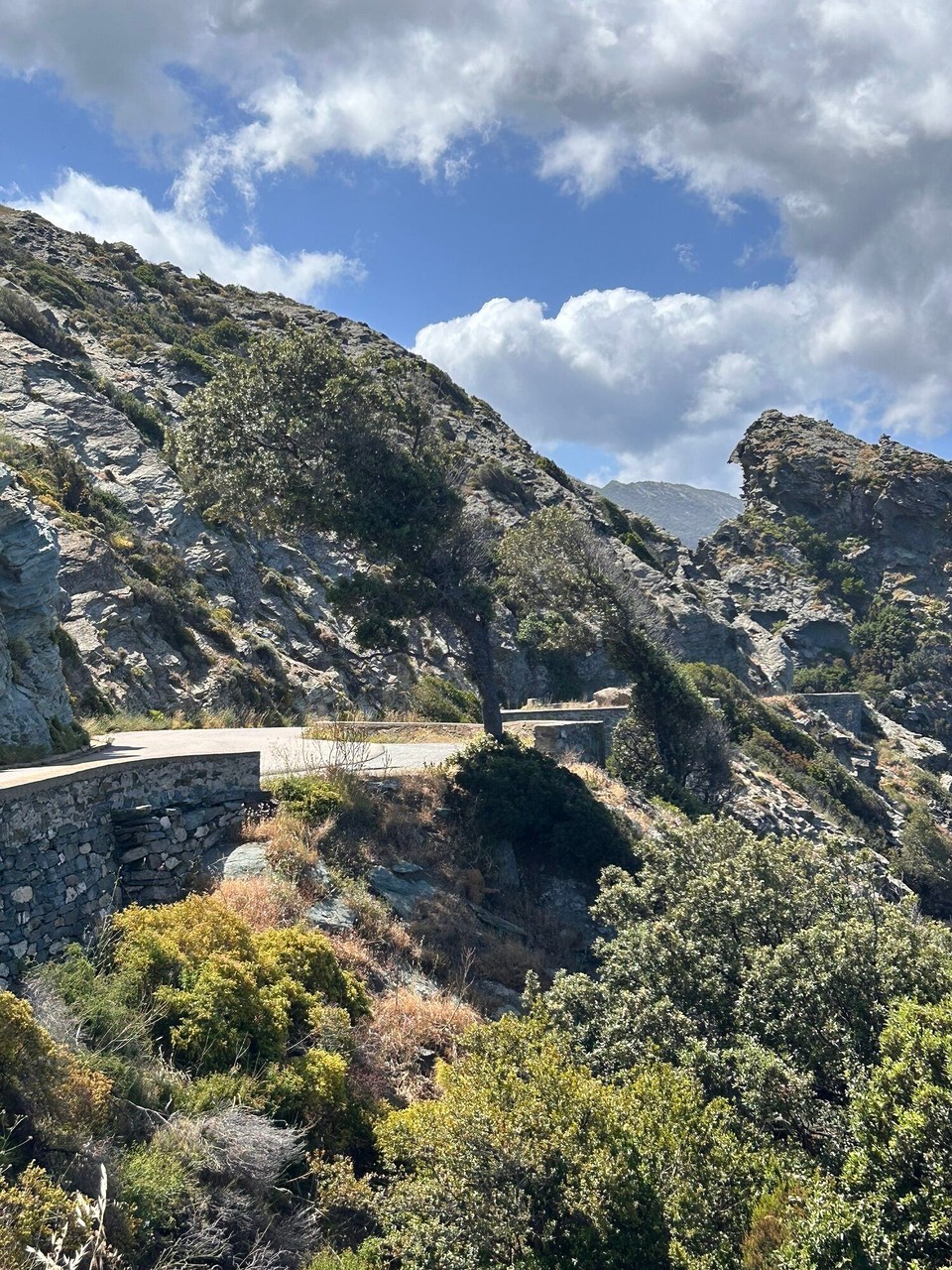 Frankreich - Calvi - 