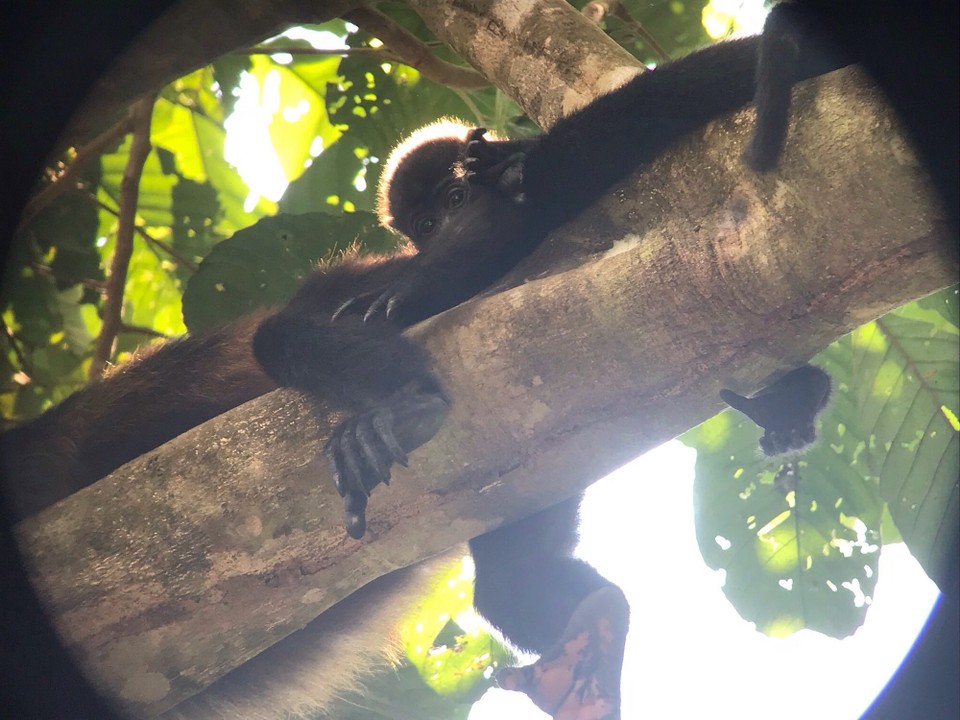 Costa Rica - Golfito - 