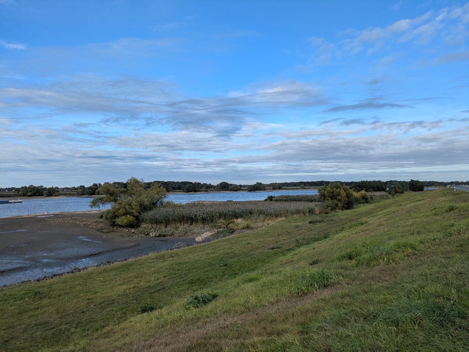 Deutschland - Lauenburg/Elbe - Und für die Gänse. Und für die schöne, schöne Elbe. 