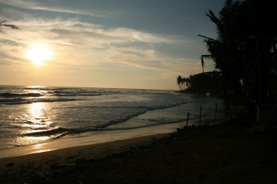 Sri Lanka - Ahangama - 