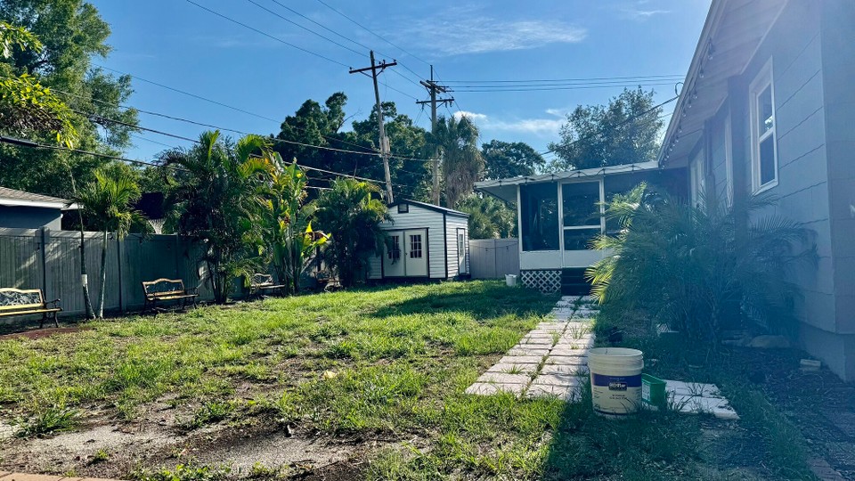 Vereinigte Staaten - Tampa - Garten meiner Wohnung 