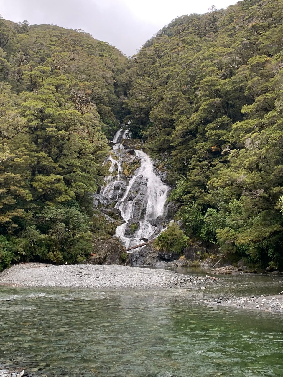 Neuseeland - Fox Glacier - 
