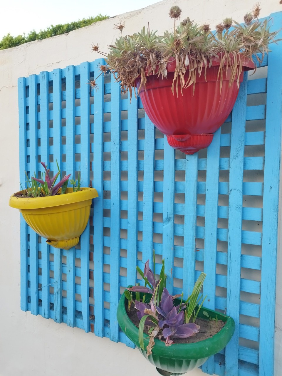 Ägypten - Hurghada - 