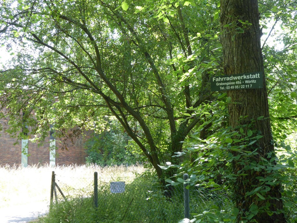 Deutschland - Lutherstadt Wittenberg - Marketing können sie! Eine Werbetafel mitten in der Landschaft. Gut zu wissen.