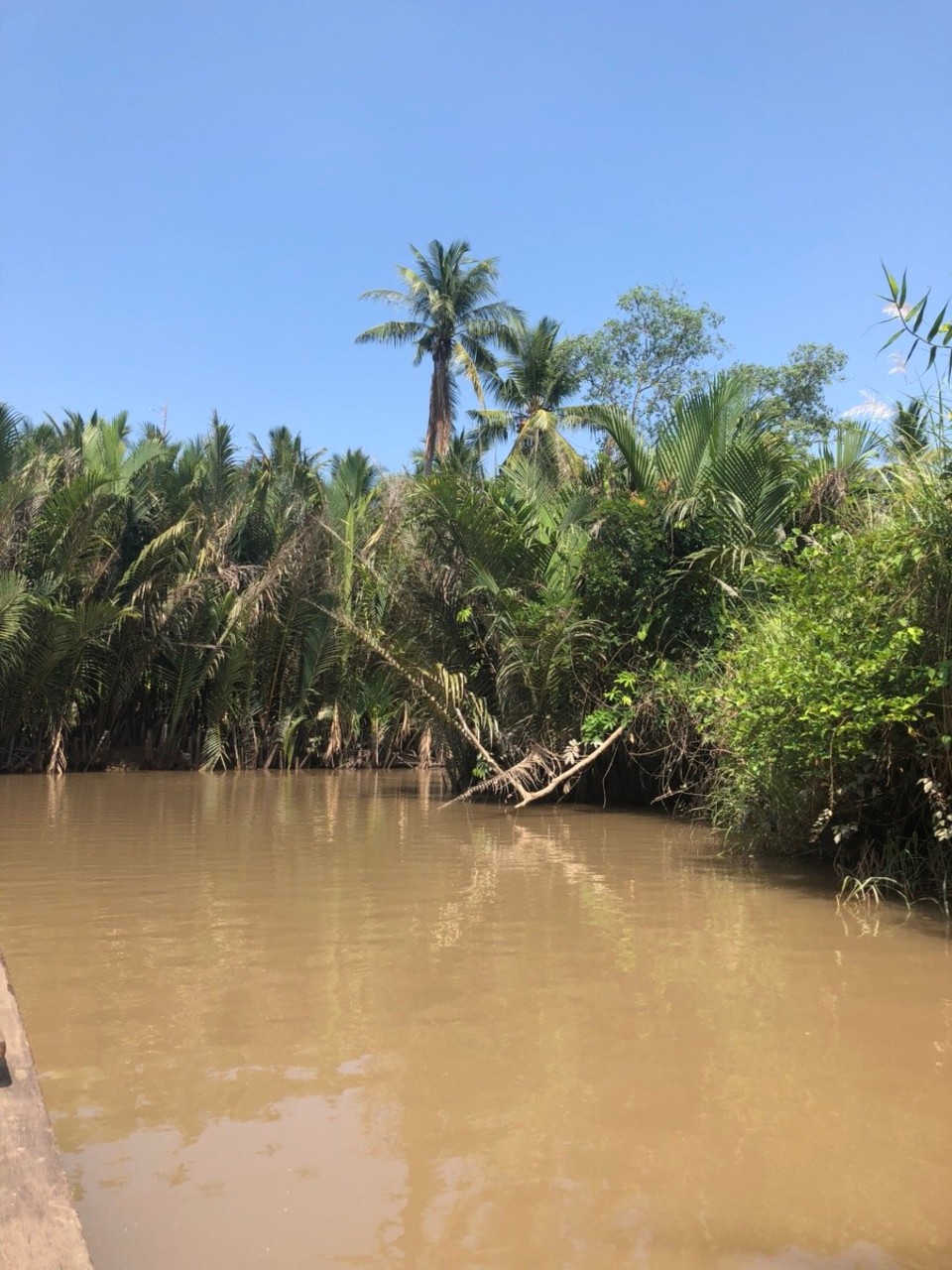 Vietnam - Mỹ Tho - 