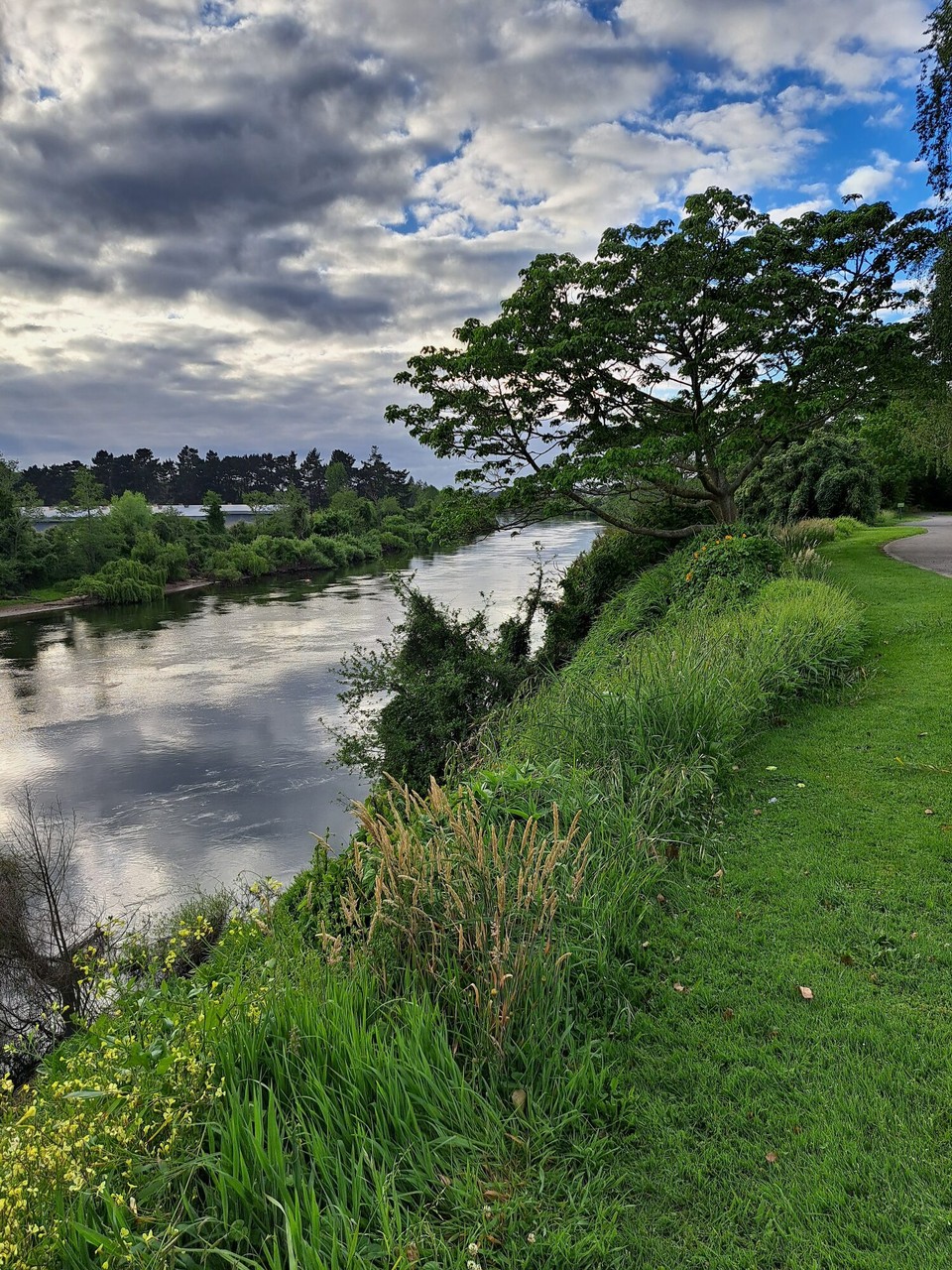 Neuseeland - Hamilton - 