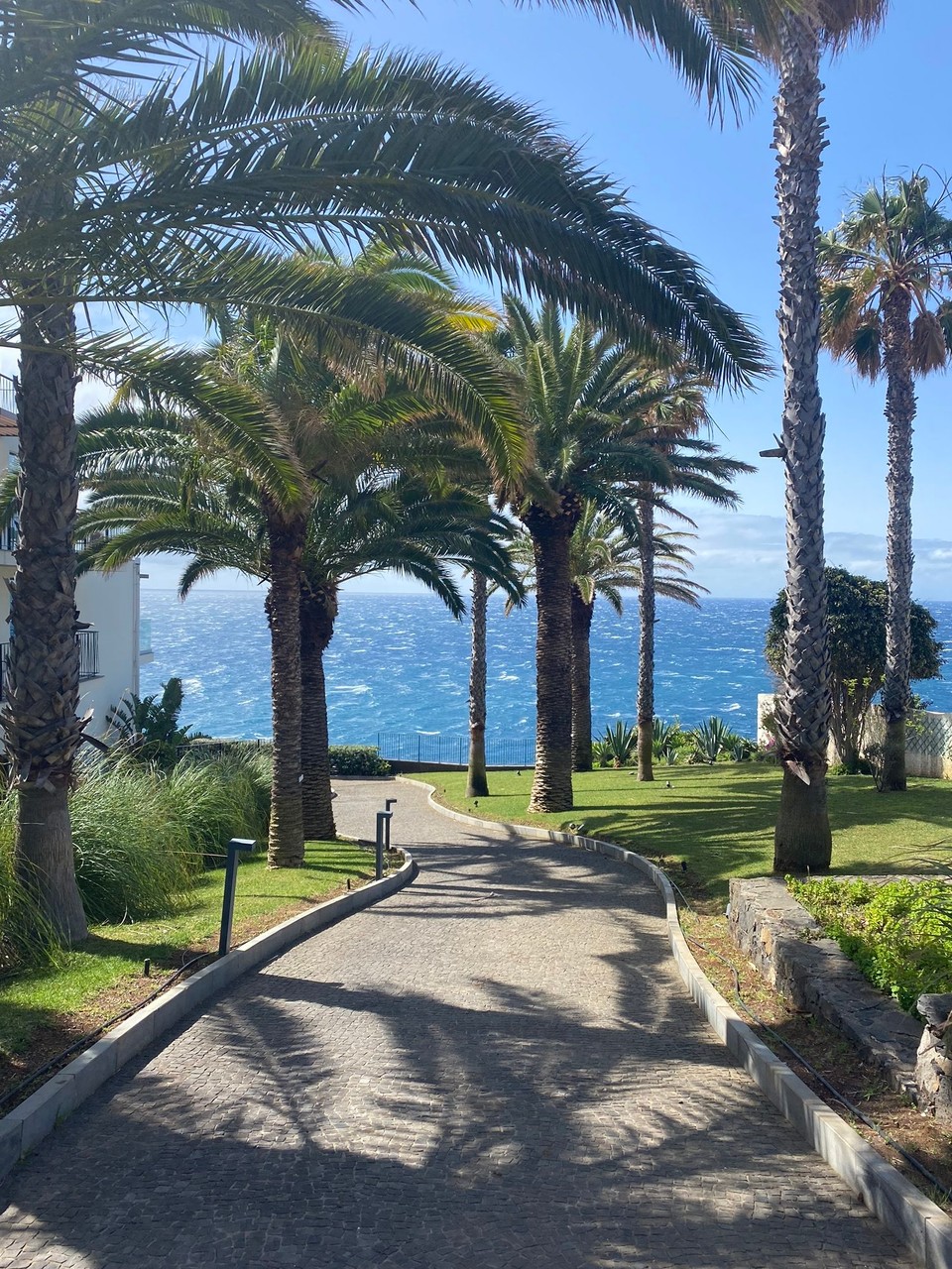 Portugal - Santa Cruz - Grün und blau 