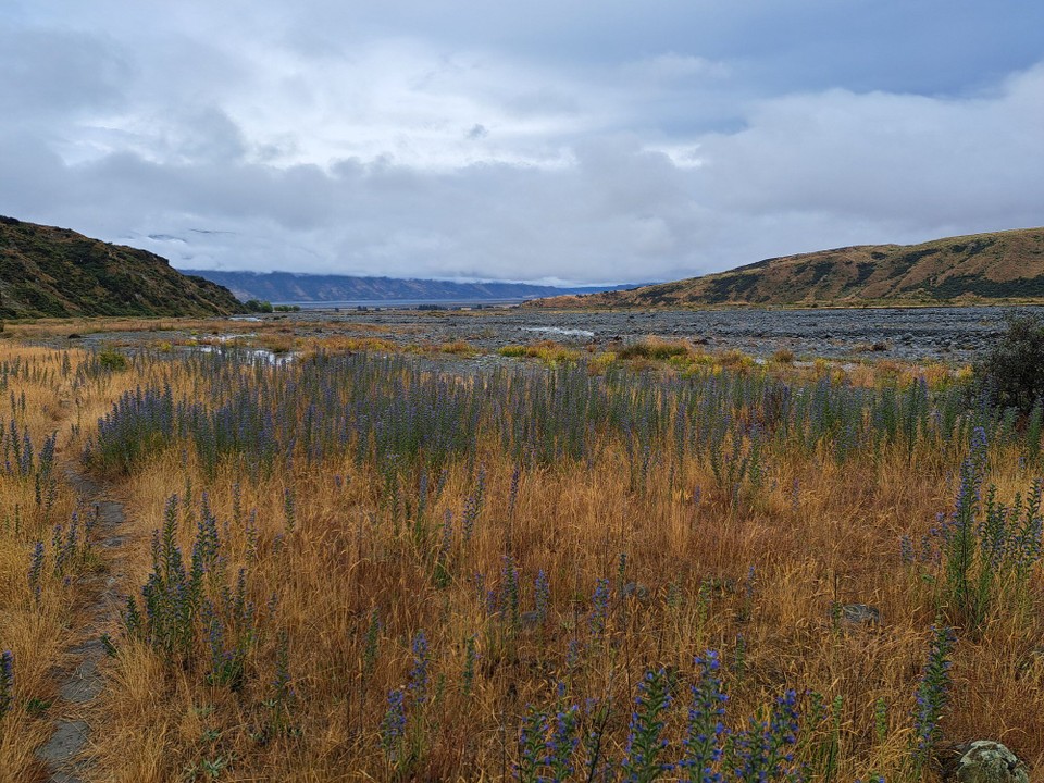 Neuseeland - Geraldine - 