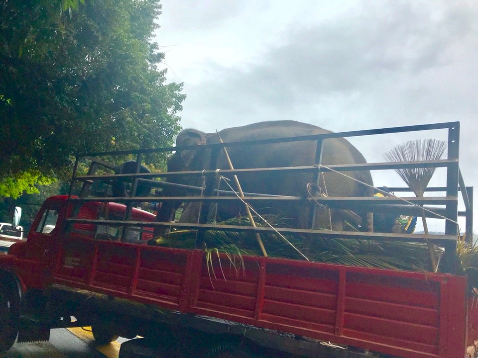Sri Lanka -  - 