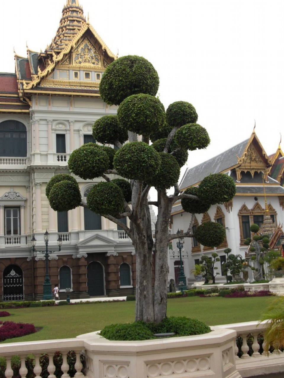 Thailand - Bangkok - 