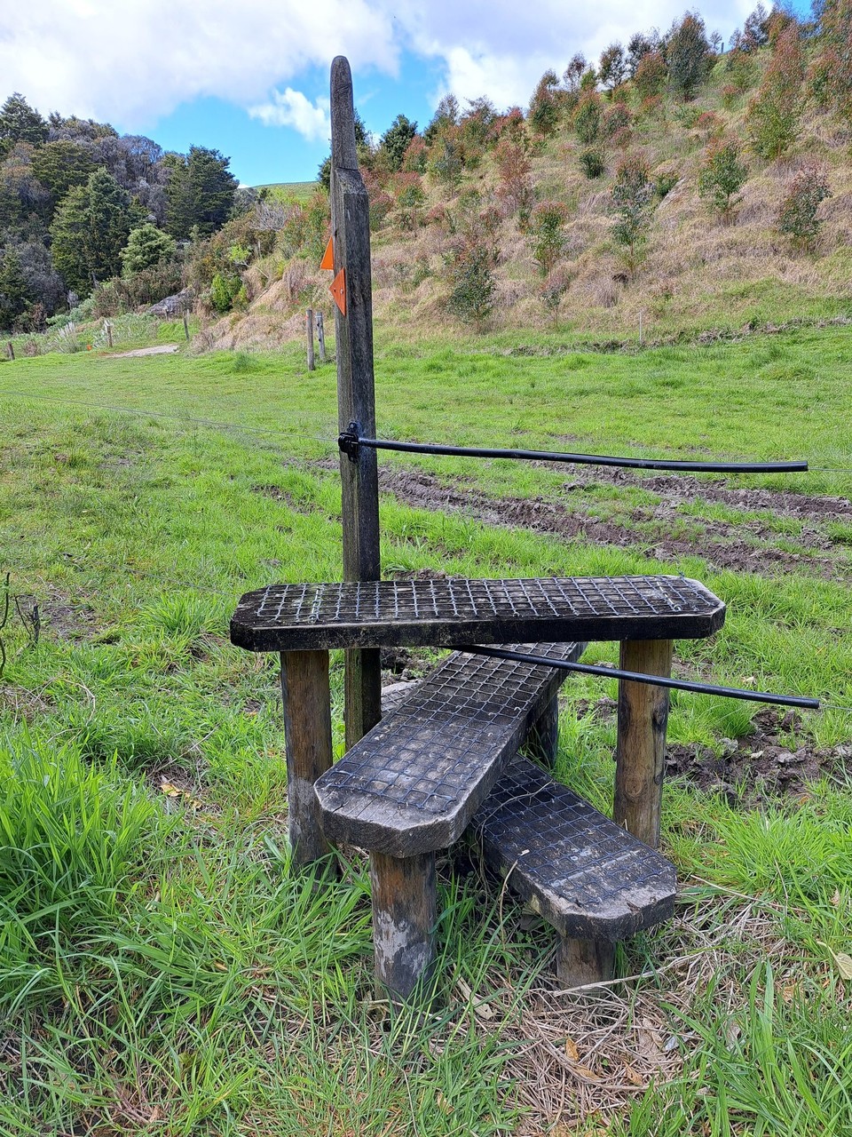 Neuseeland - Kerikeri - Immer wieder über die Zäune 