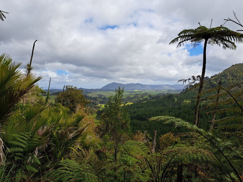 Neuseeland - Kumetewhiwhia - 
