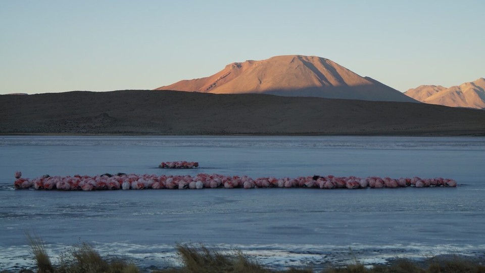 Chile - San Pedro de Atacama - 