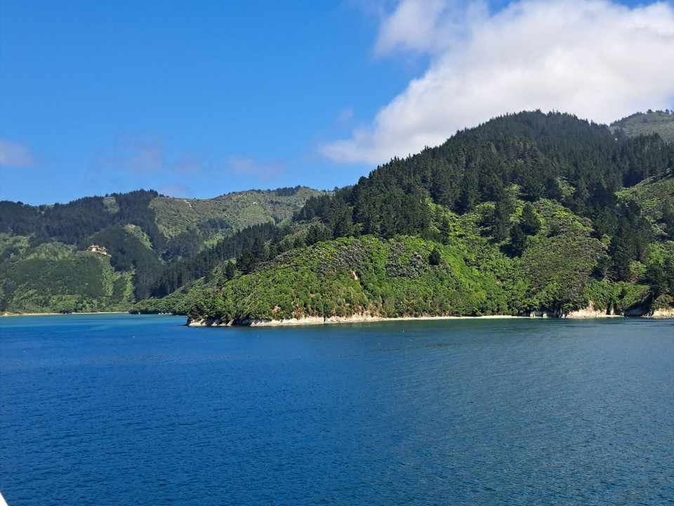 Neuseeland - Picton - 