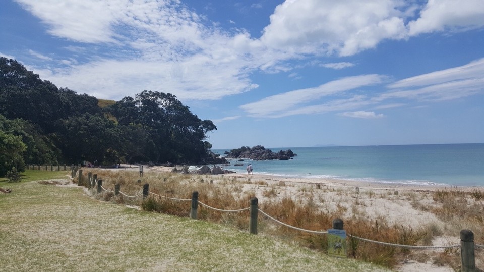 Neuseeland - Tauranga - Die Küste direkt am Mount.