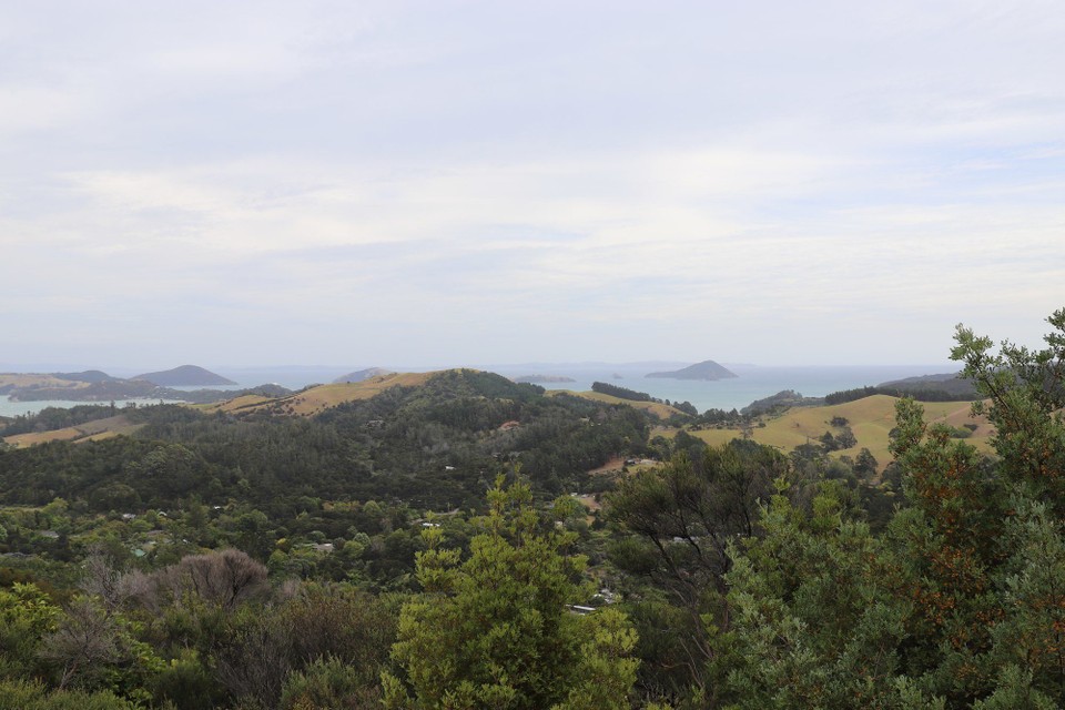 Neuseeland - Coromandel - 