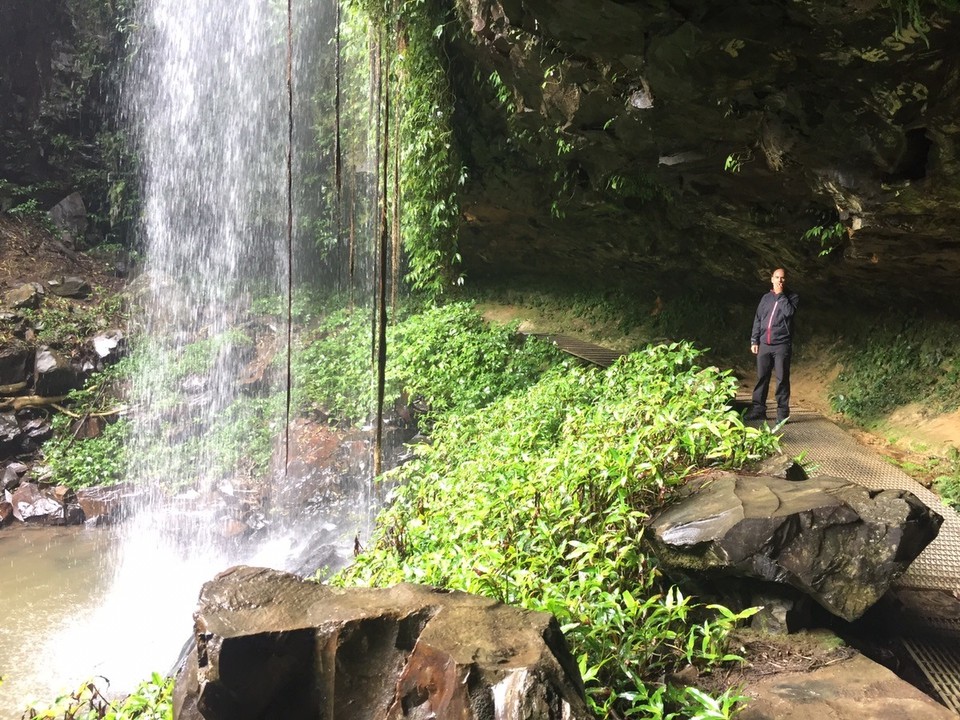  - Australia, Dorrigo Rainforest Centre - 