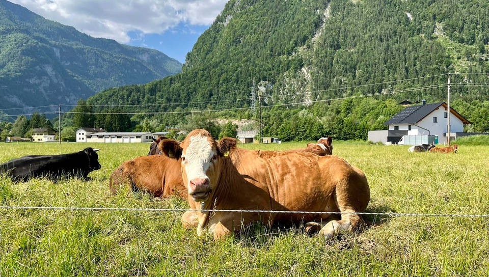 Österreich - Golling an der Salzach - 