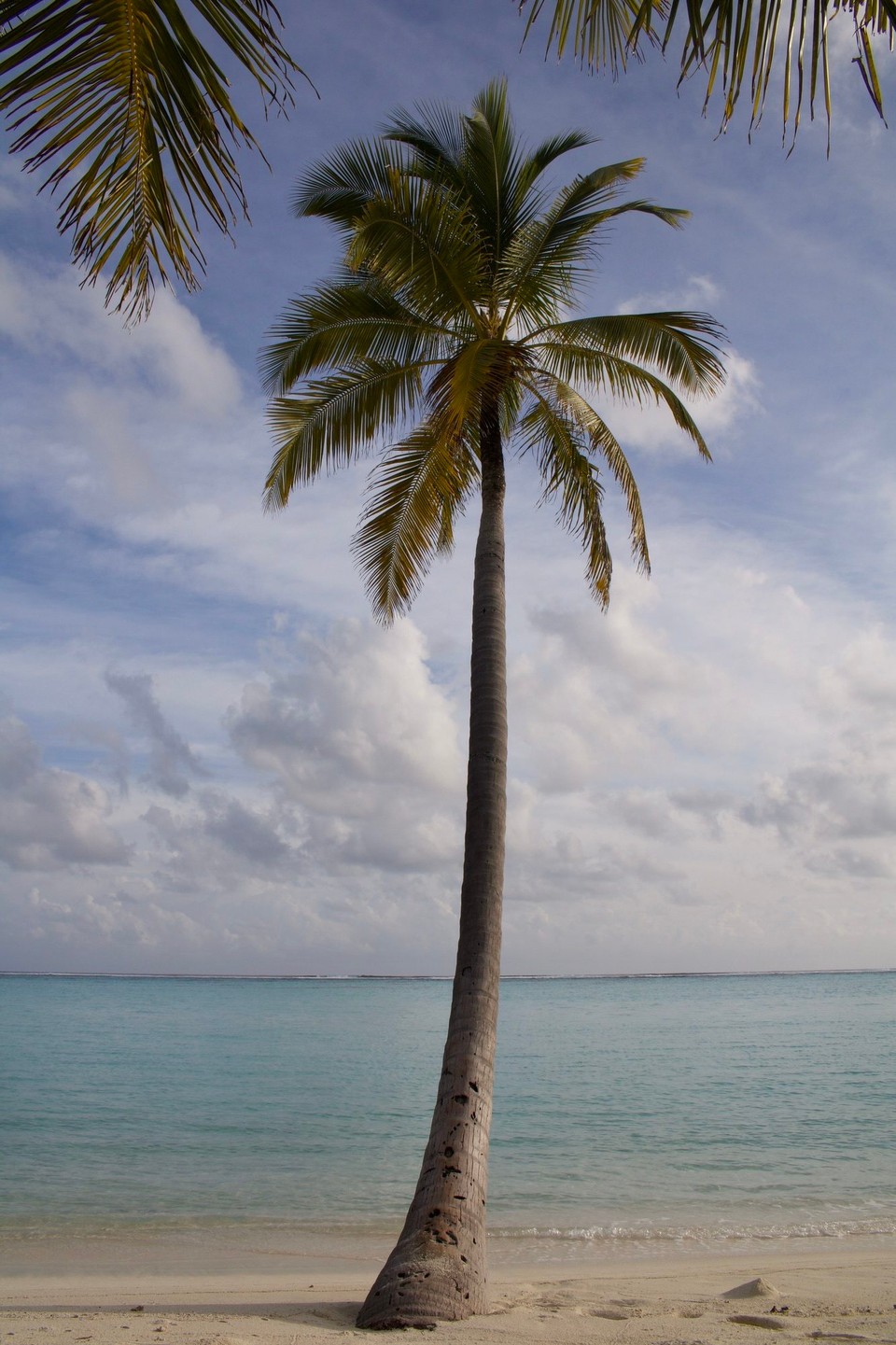 Maldives -  - 