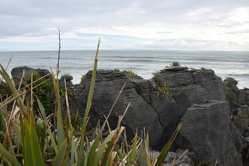 Neuseeland - Pancake Rocks - 