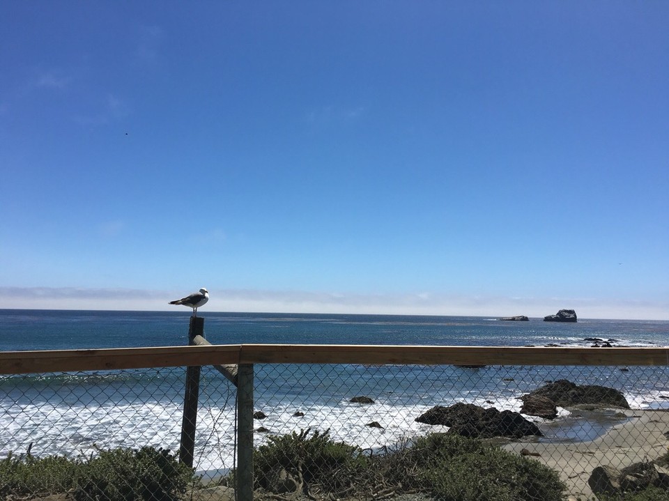 USA - Carmel-by-the-Sea - 