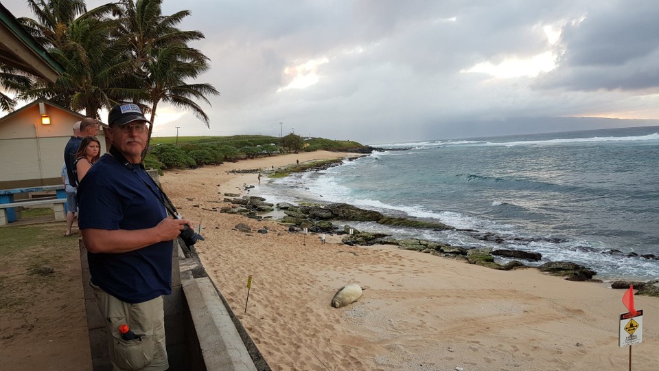 USA - Kīhei - 