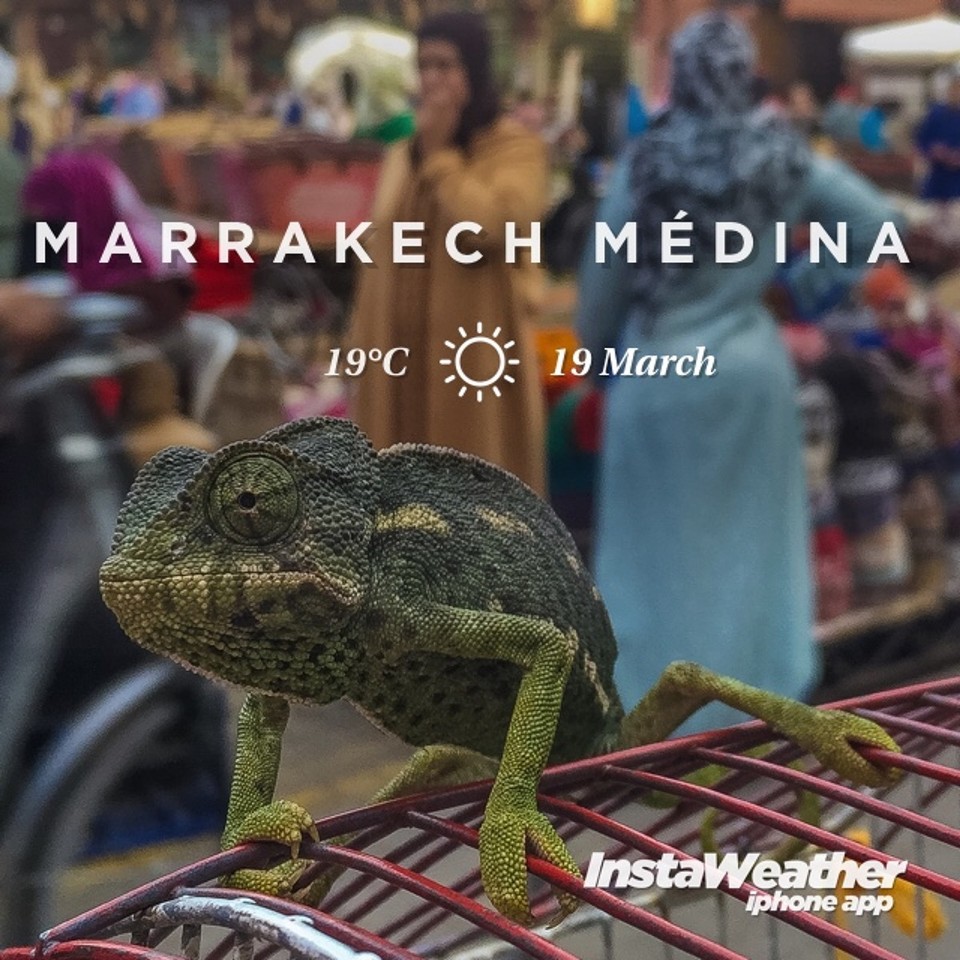 Marokko - Marrakesch - 
