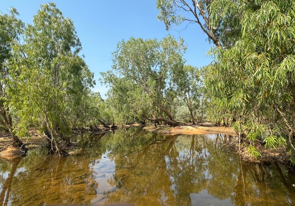 Australien - Mataranka - 