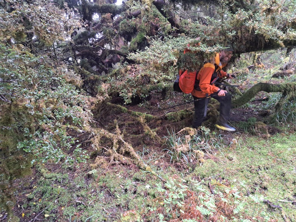 Neuseeland - Te Aroha trail PK - 