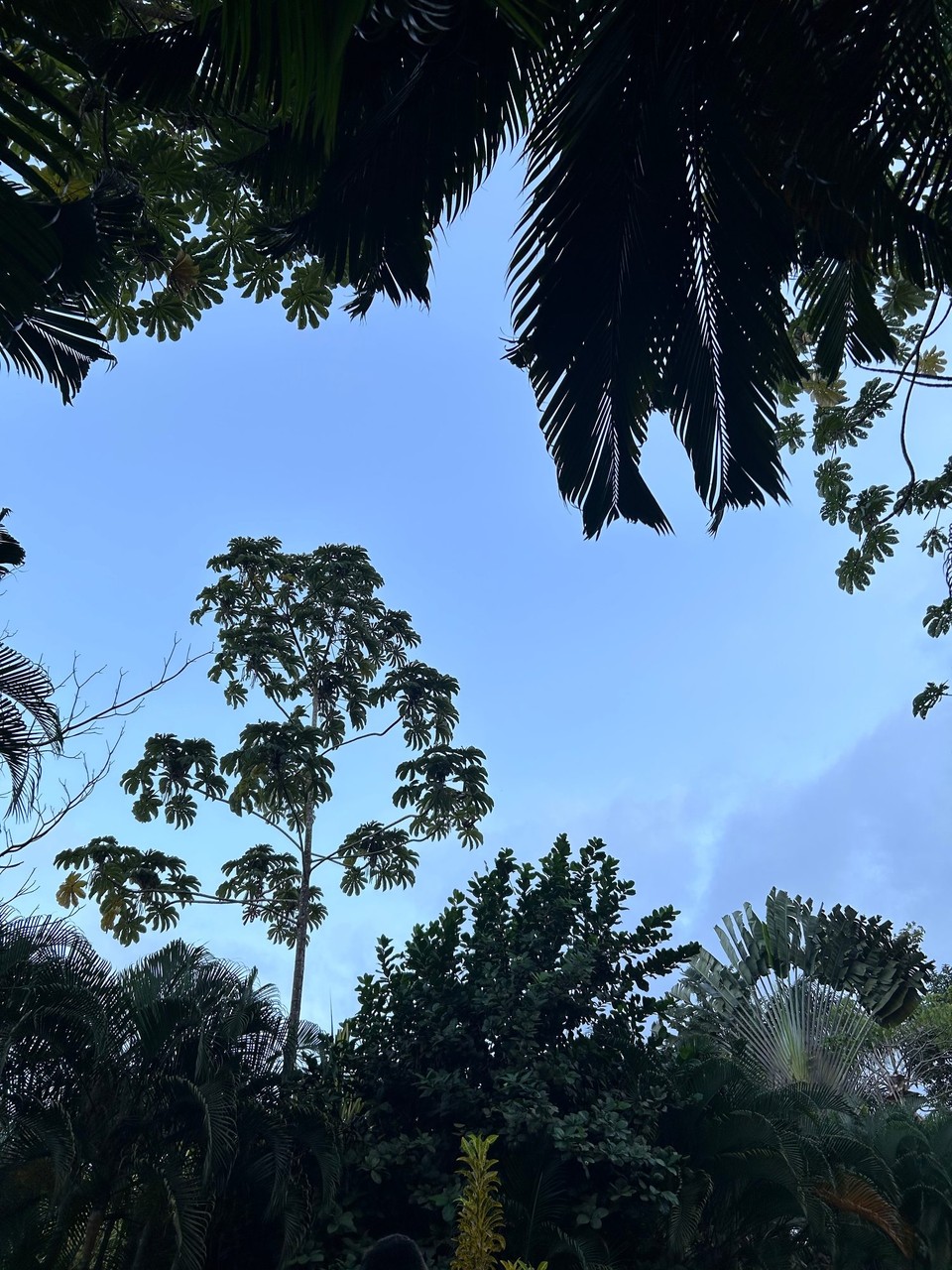 Costa Rica - La Fortuna - 