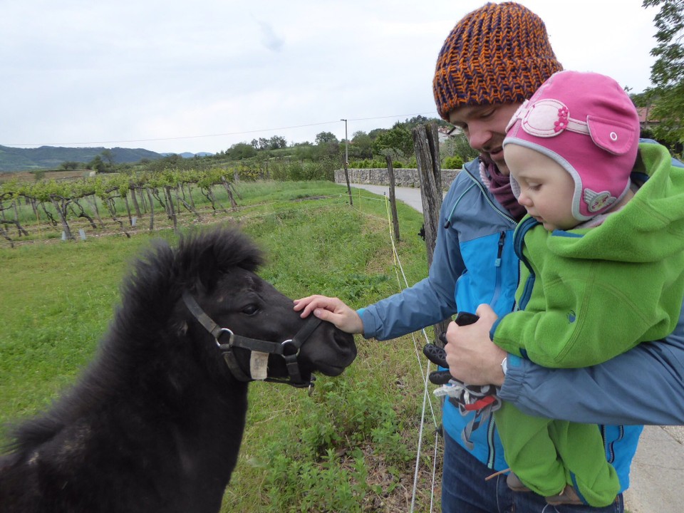 Slowenien - Vipava - Lelias erster Kontakt zu Ponys