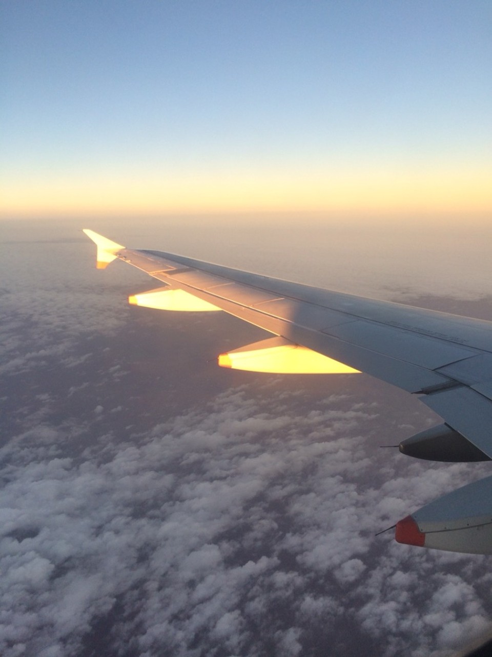 Deutschland - Frankfurt am Main - Unter uns liegt endlich wieder HEIMAT