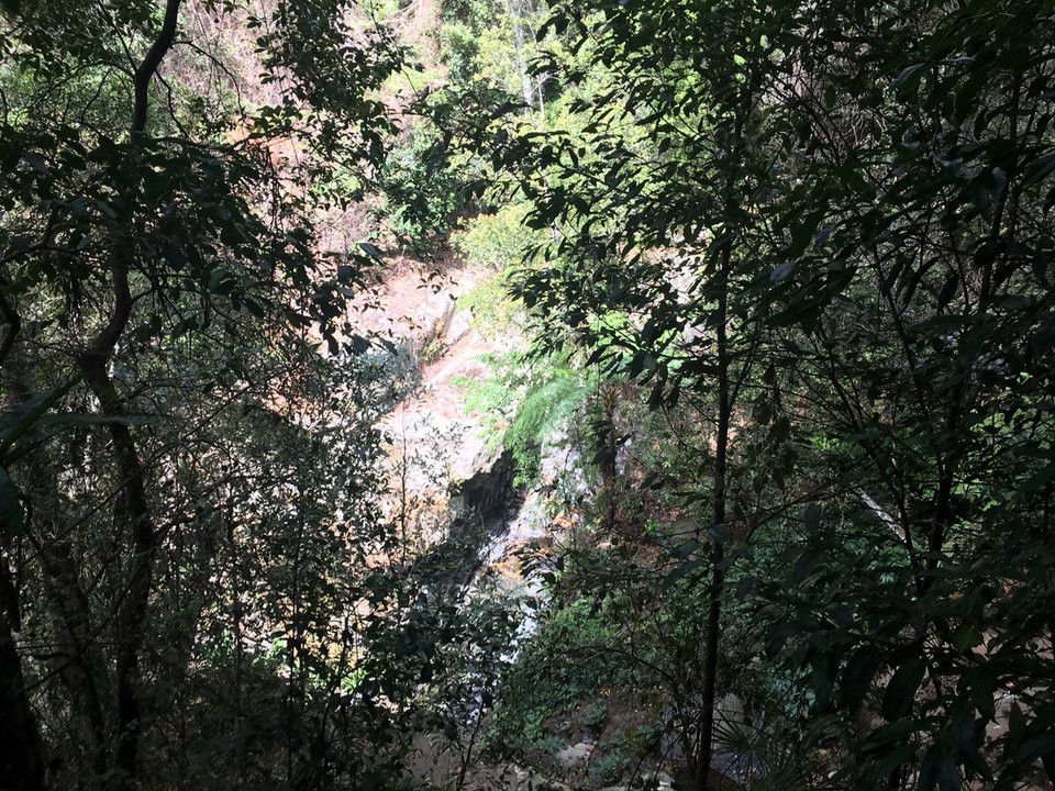  - Ausztrália, Jamberoo, Minnamurra Rainforest center - 