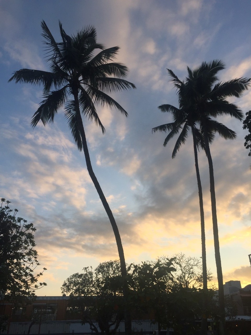  - Australia, Cairns, Reef Fleet Terminal - 
