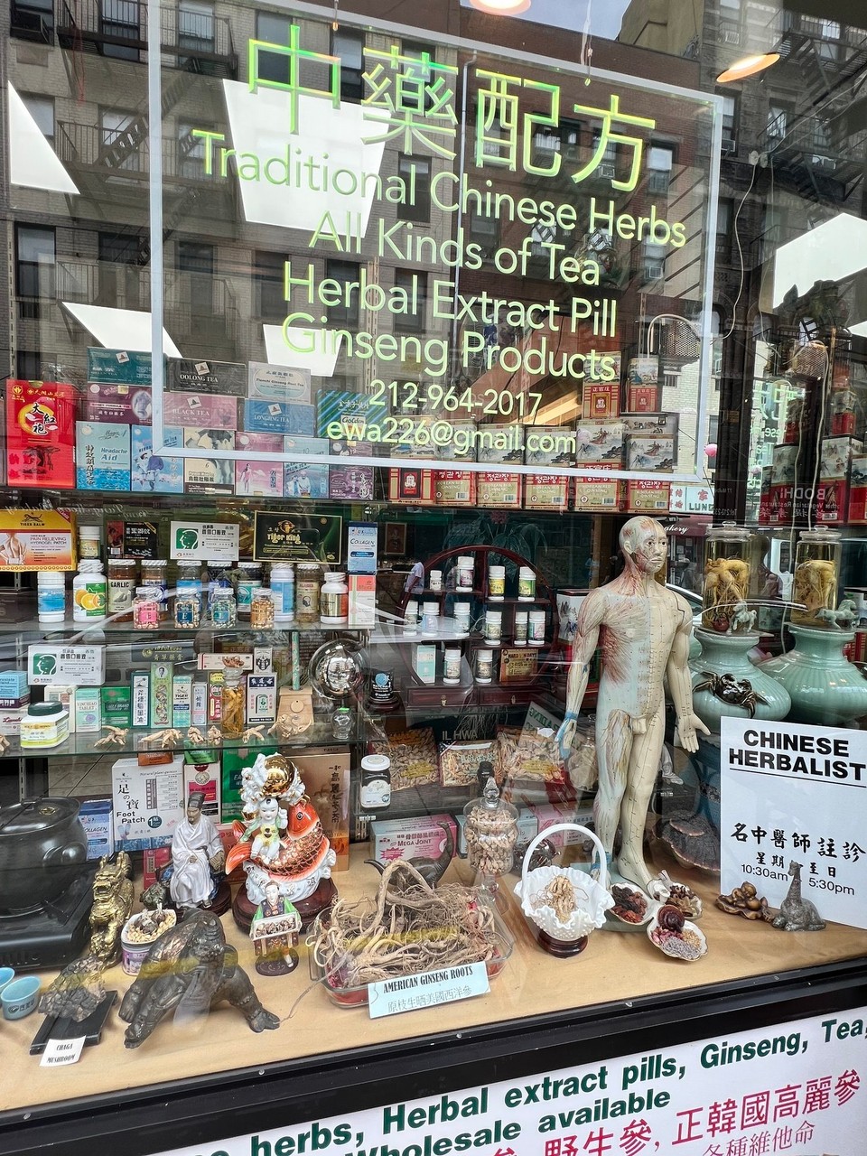 Vereinigte Staaten - New York - Chinatown Apotheke 