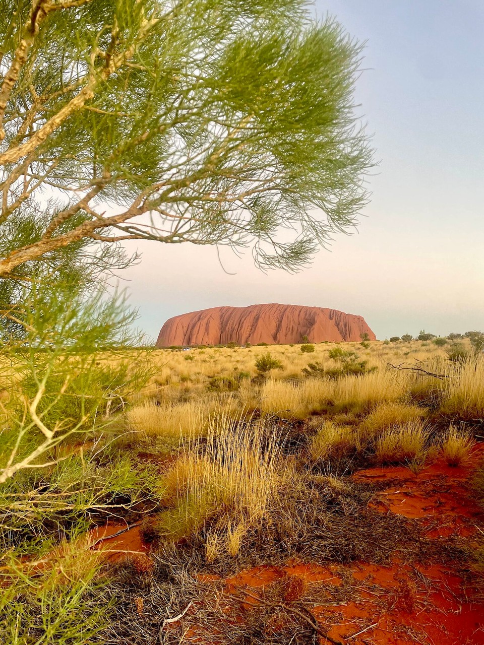 Australien - Yulara - 