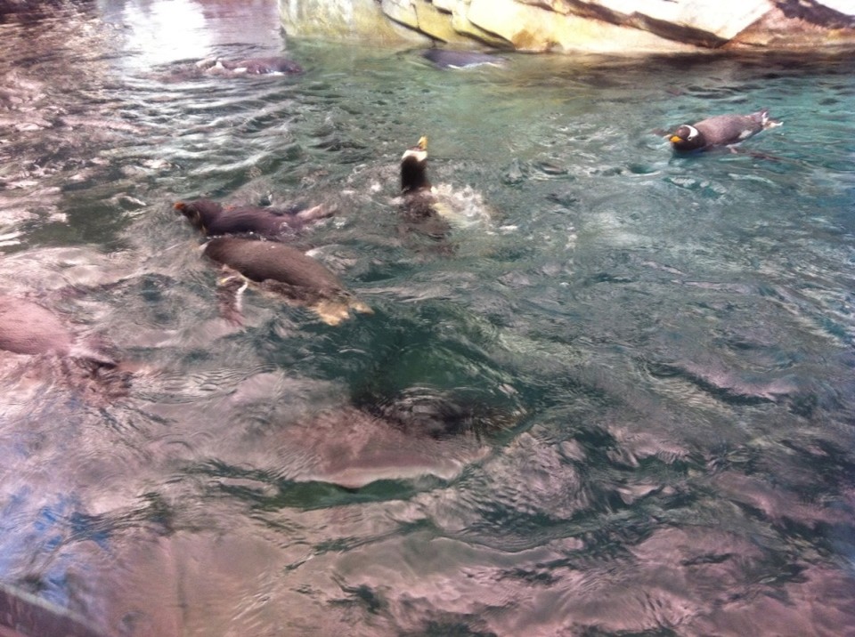 Egyesült Államok - Orlando - 