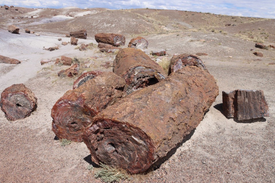 USA - Gallup - Petrified Forest NP