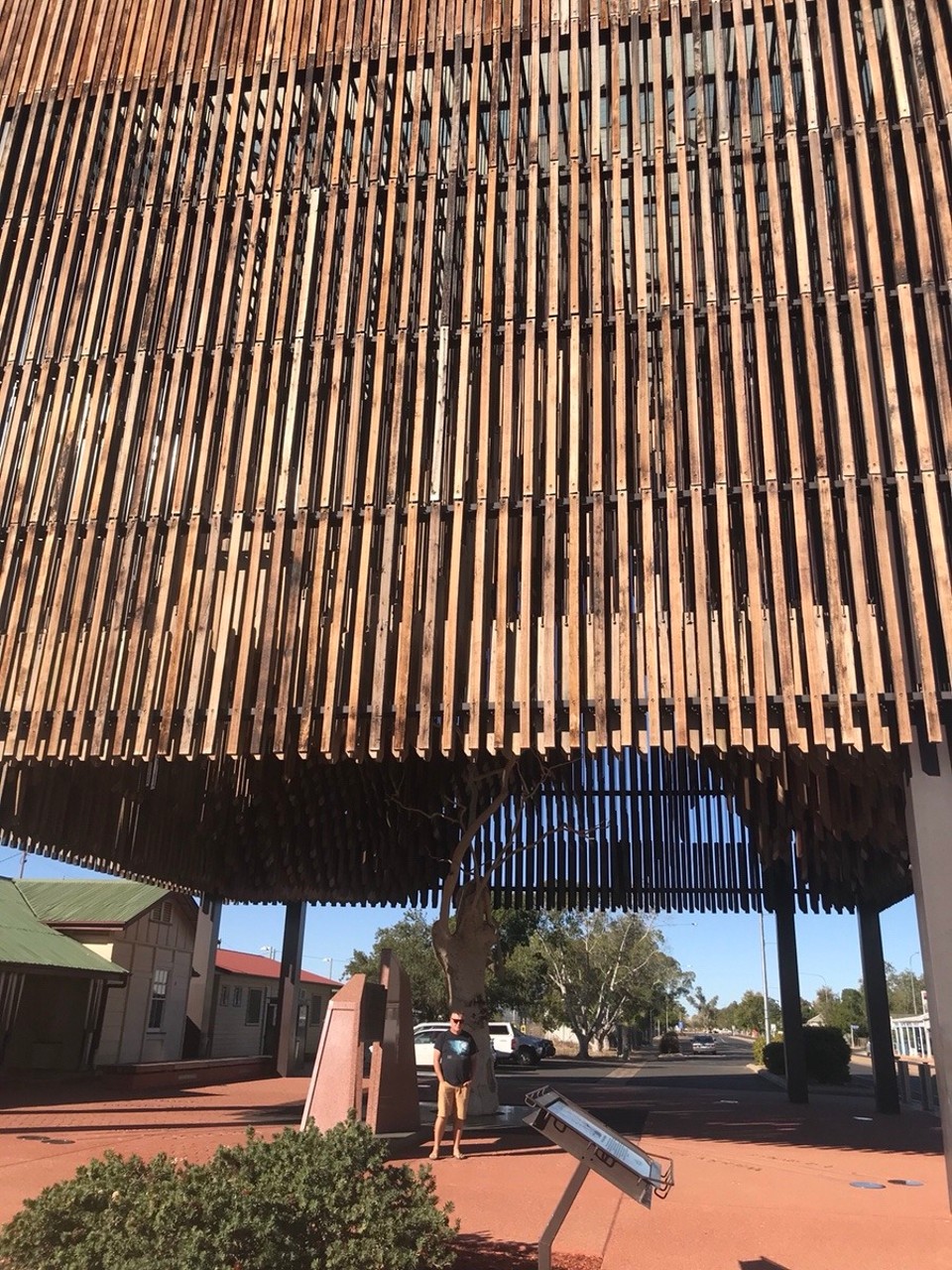 Australia - Barcaldine - The tree!