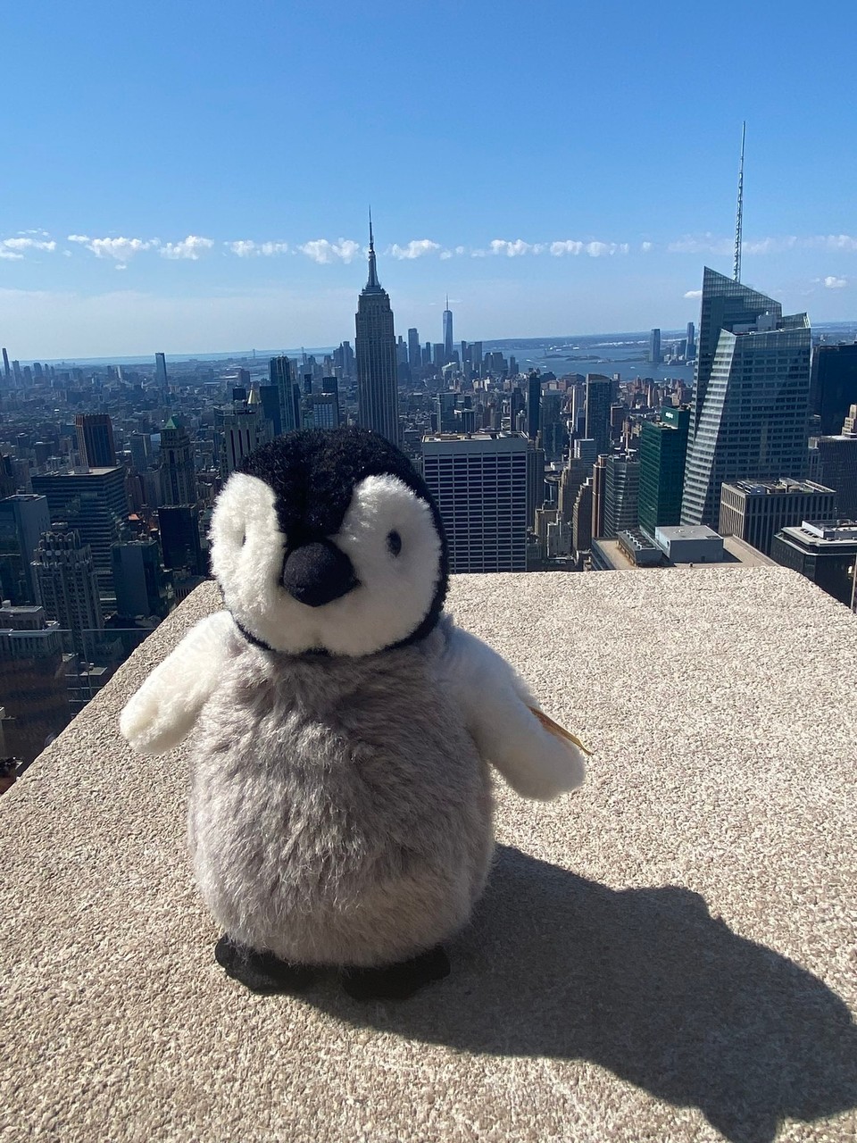 Vereinigte Staaten - New York - Fridolin ist immer dabei. 