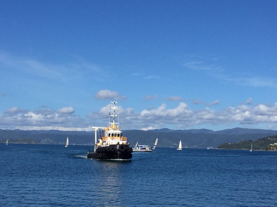 Neuseeland - Wellington - Bucht von Wellington 