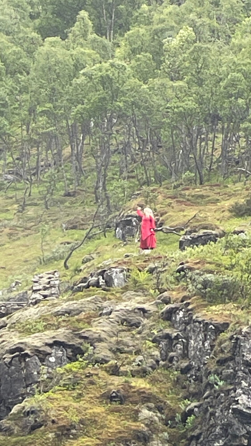 Norwegen - Flåm - und geheimnisvollen Feen