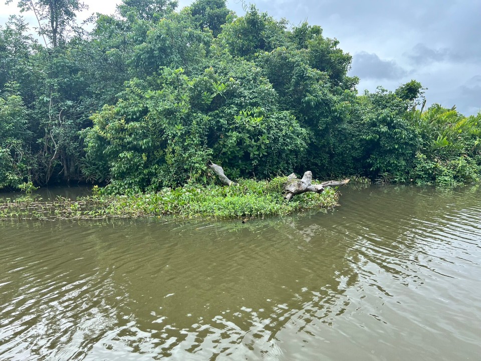 Sri Lanka -  - 