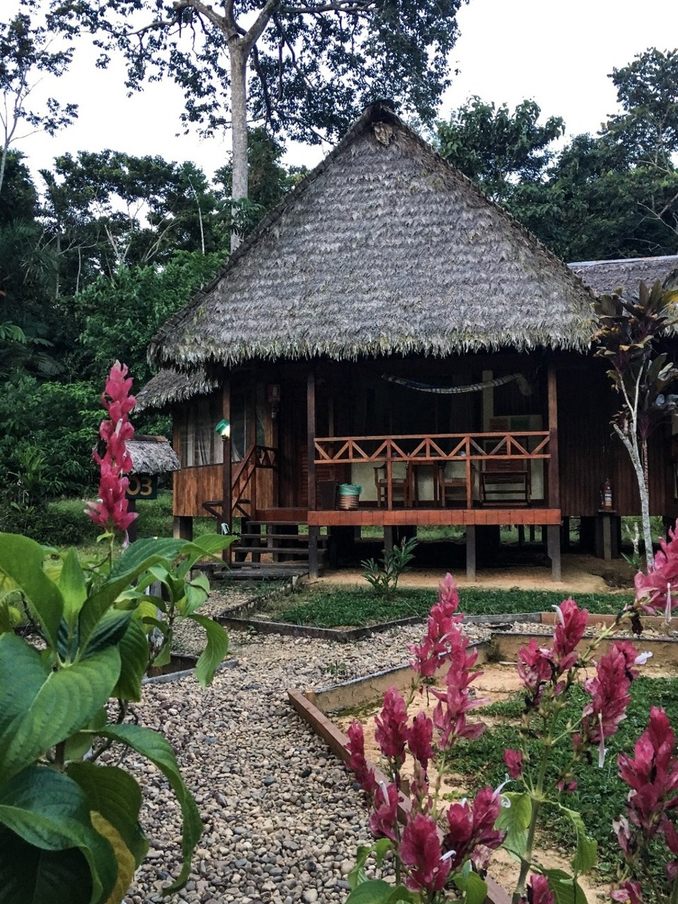 Peru - Puerto Maldonado - super entspannte Stimmung und Natur pur