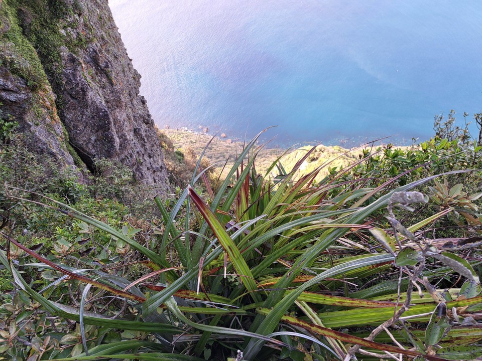 Neuseeland - Ruakākā - 