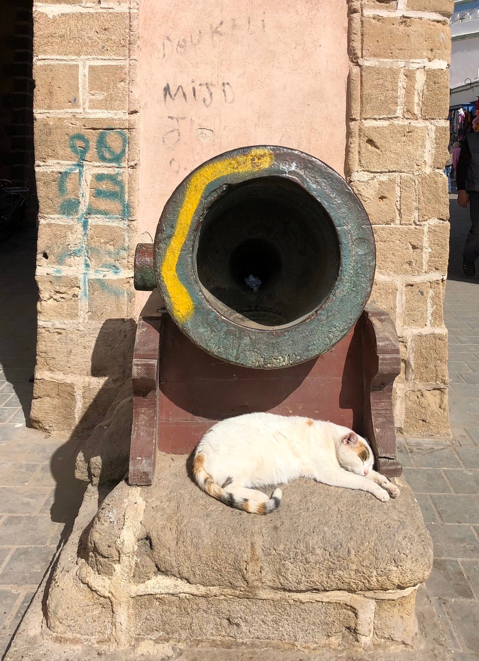 Marokko - Essaouira - Katzen gibt es hier überall. Sie liegen schlafend bei den Händlern auf und zwischen den Auslagen. 