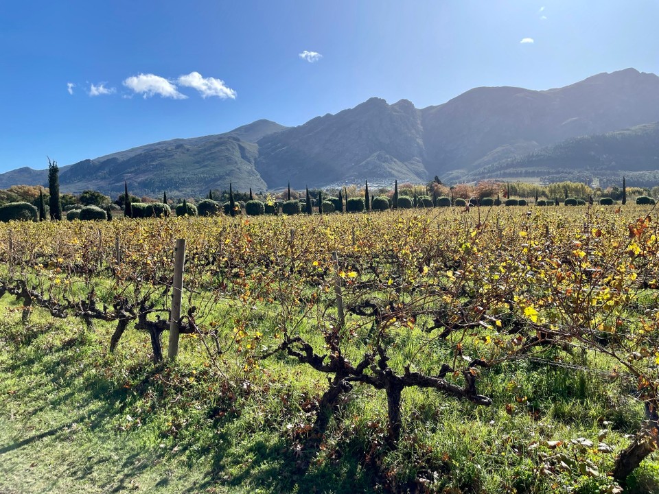 Südafrika - Franschhoek - 